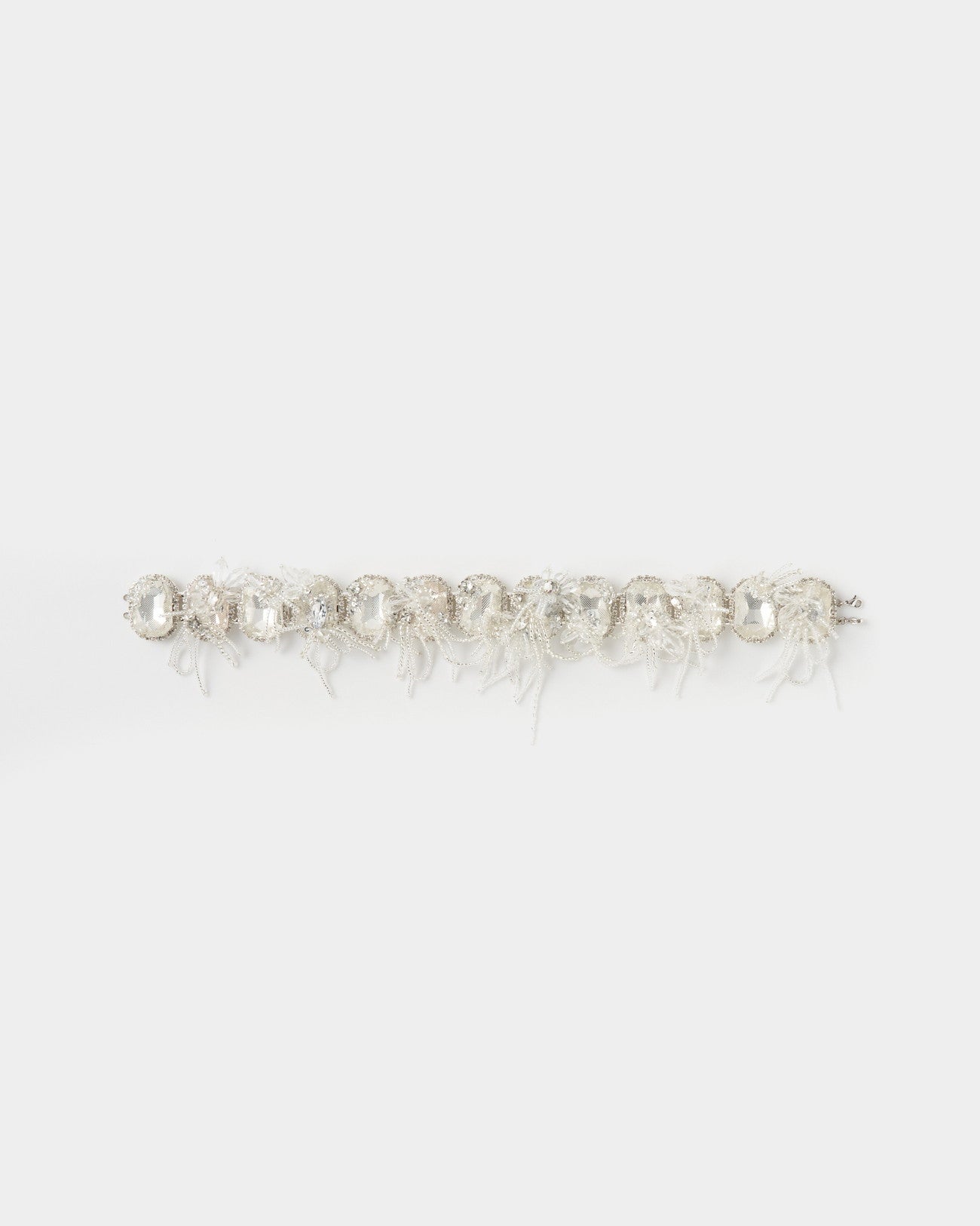 cloaked bijou necklace【Delivery in November 2025】