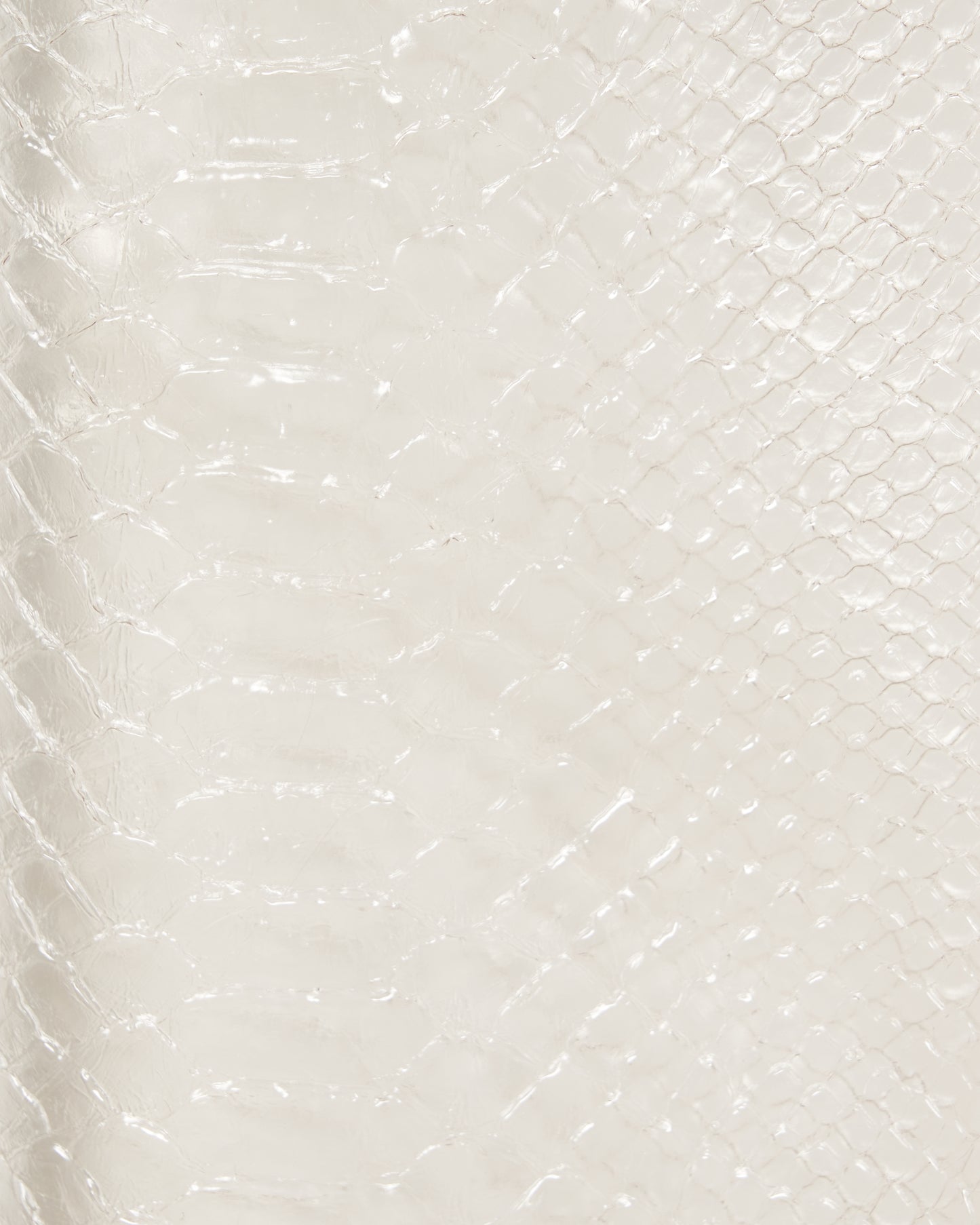 snake shell pants【Delivery in August 2025】