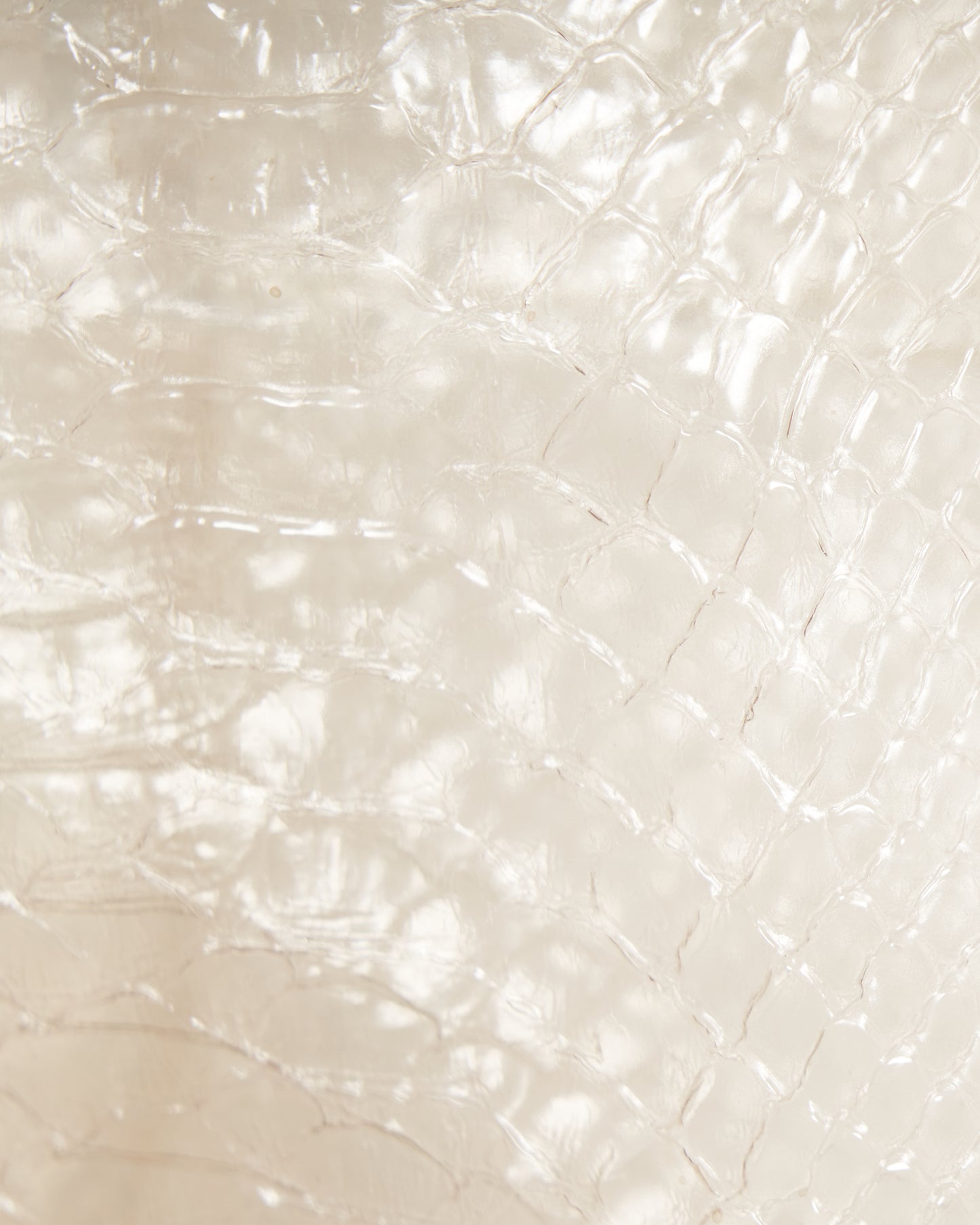 snake shell jacket【Delivery in February 2026】