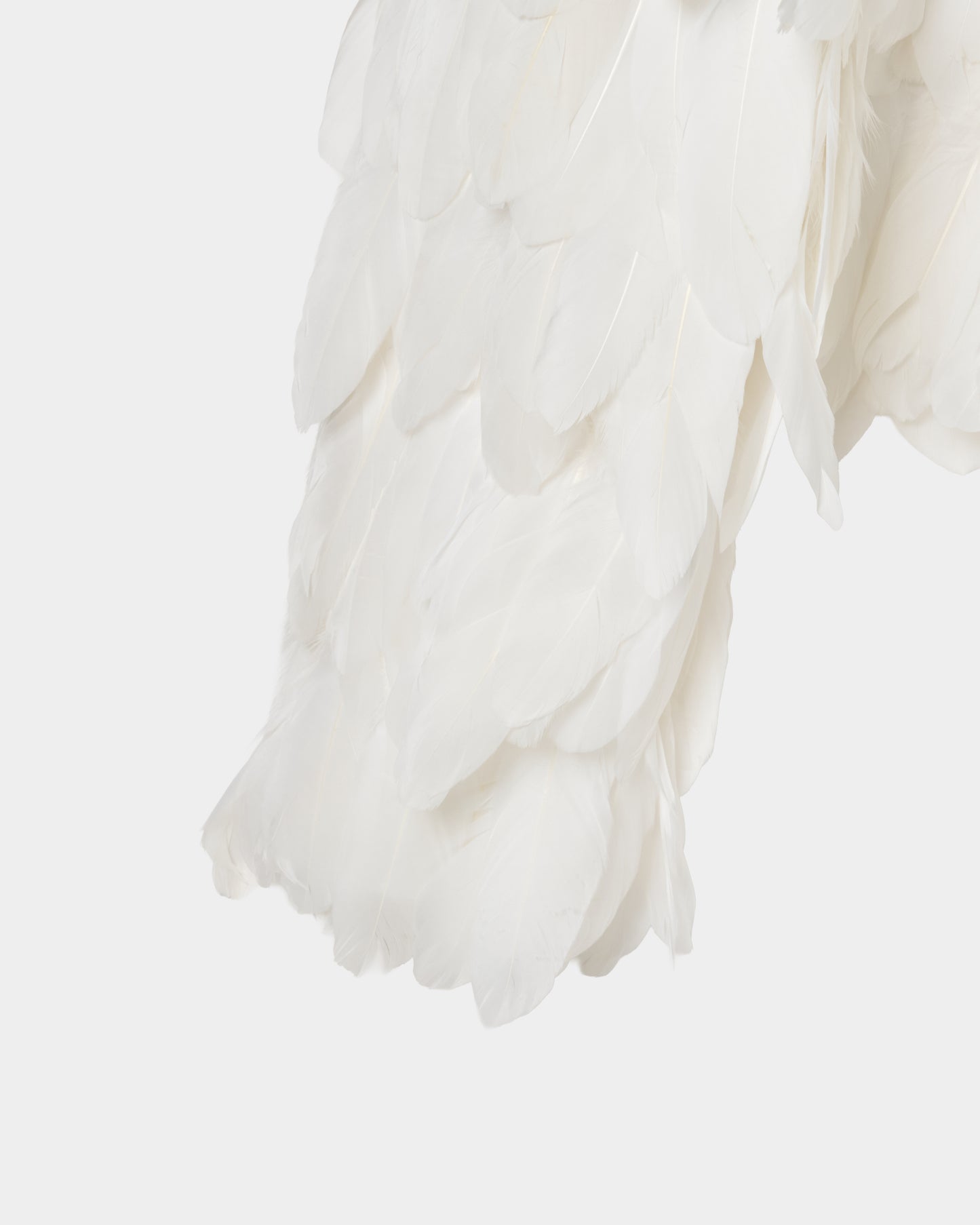 Feather jacket【Delivery in March 2026】