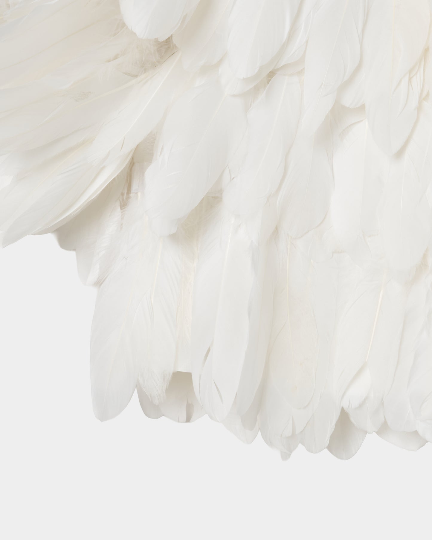Feather jacket【Delivery in March 2026】