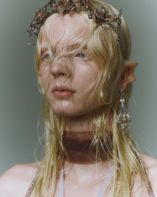 crystal stone silver earrings【Delivery in August 2025】