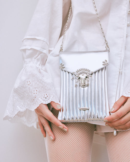 metal armor sacoche【Delivery in October 2025】