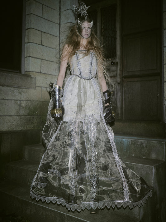 【Art piece】stainless mesh dress【Delivery in October 2025】