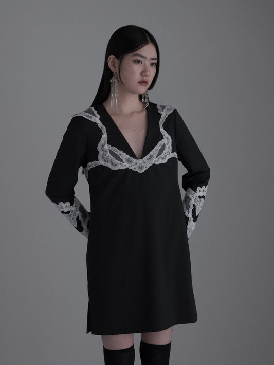 lace bra mini onepiece【Delivery in January 2027】