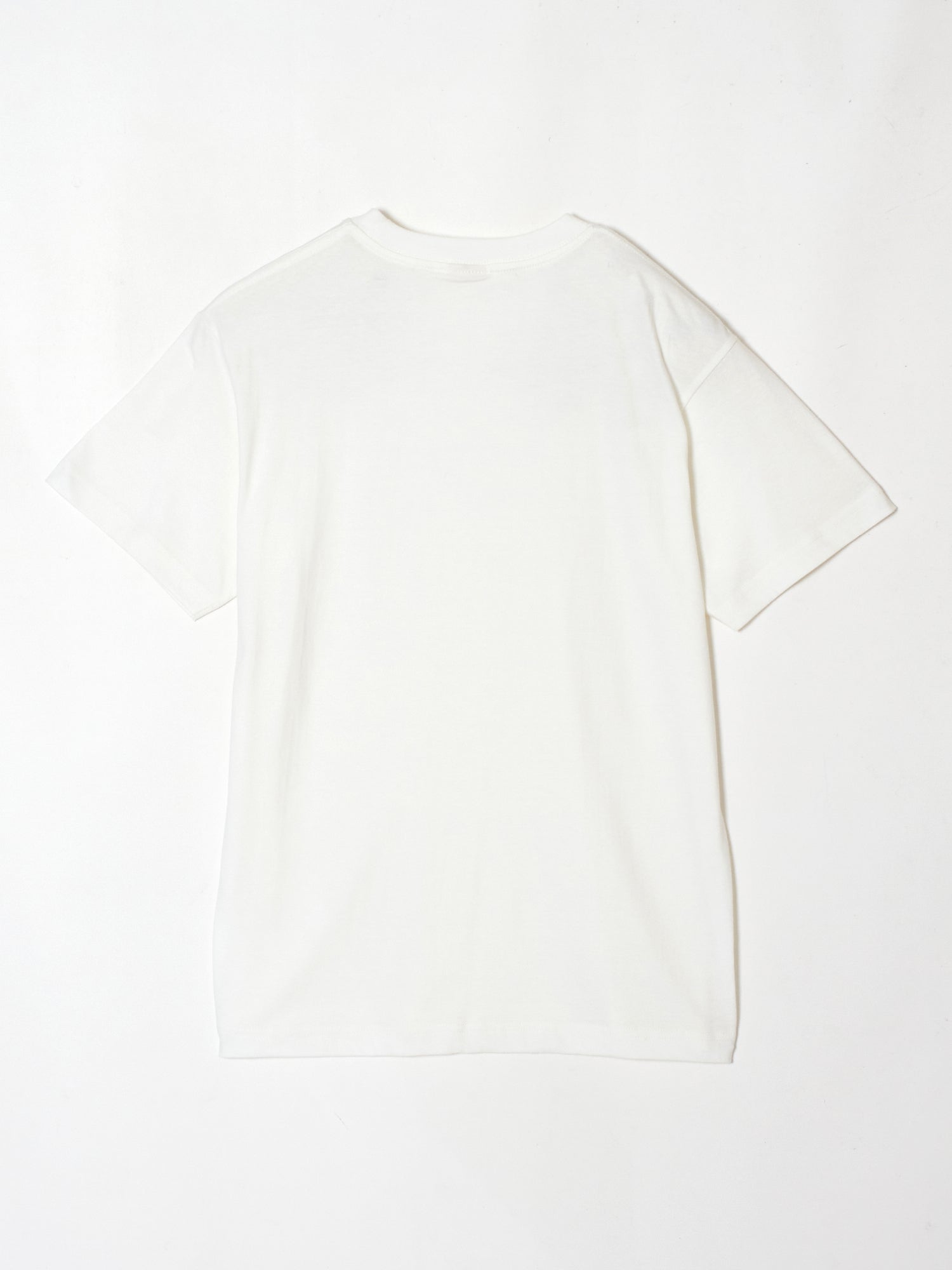 Two horse T-shirt White 01 tanakadaisukeタナカダイスケ