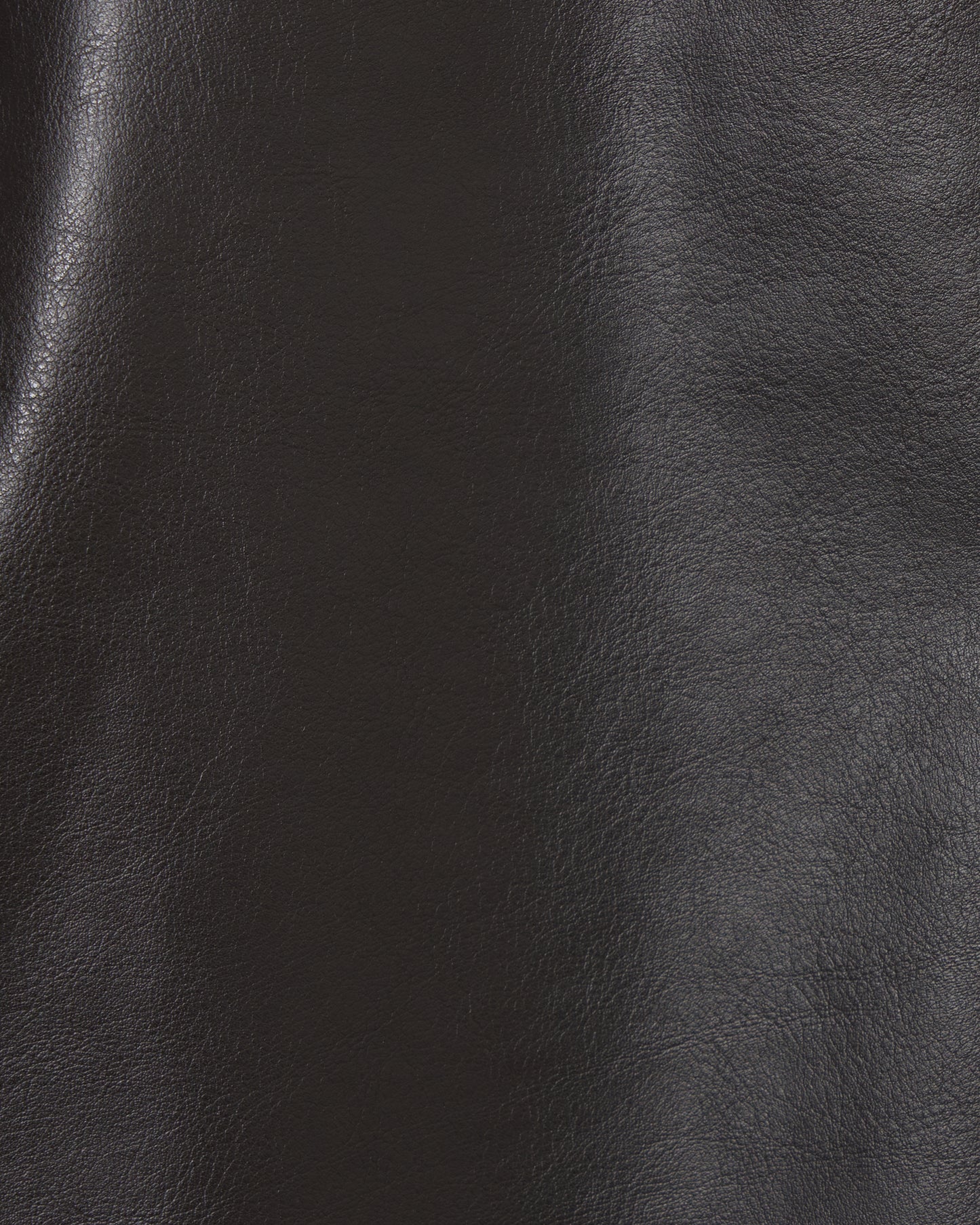 silver tag leather skinny pants【Delivery in September 2026】
