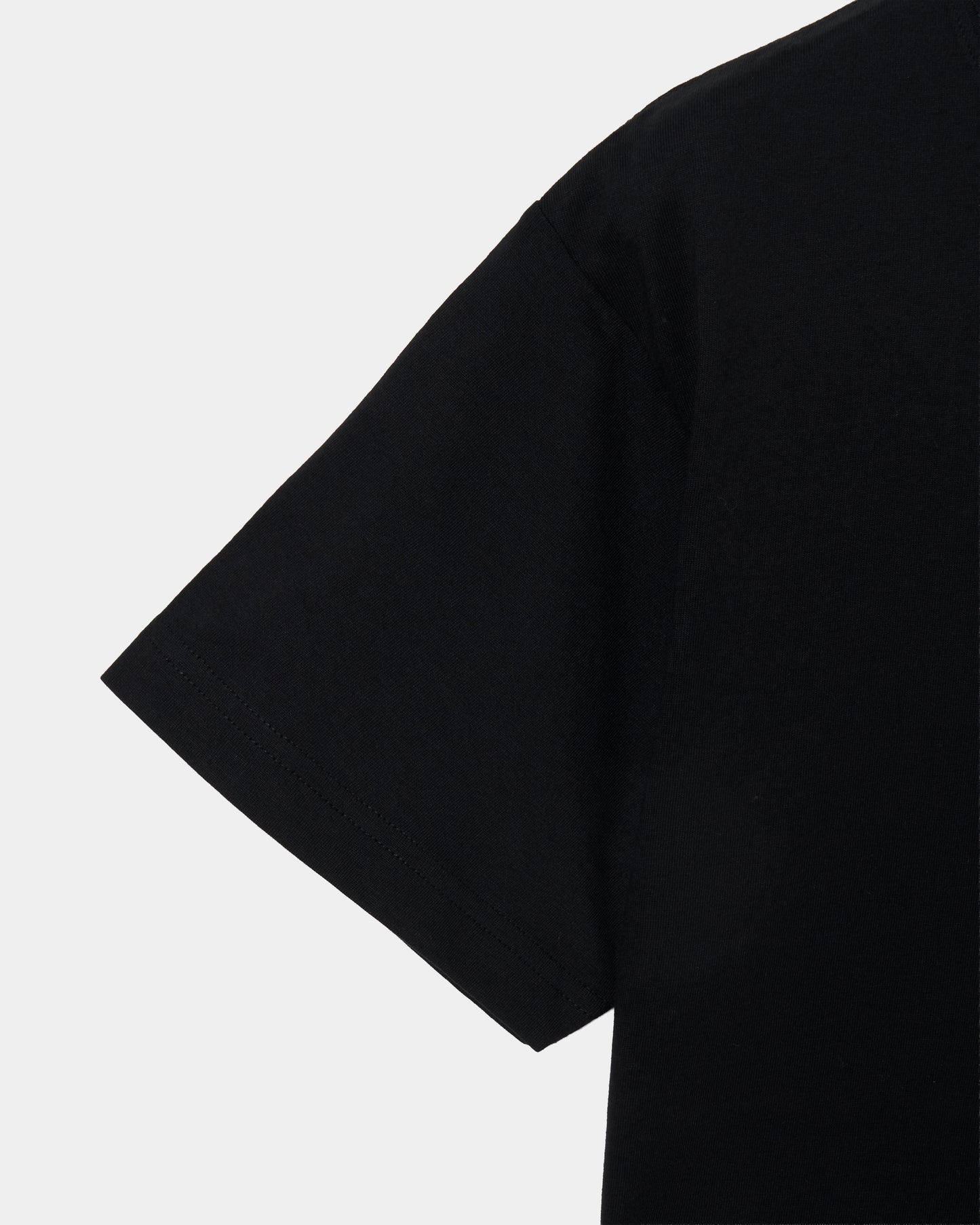 Meringue swan T-shirt Black【Delivery in June 2026】