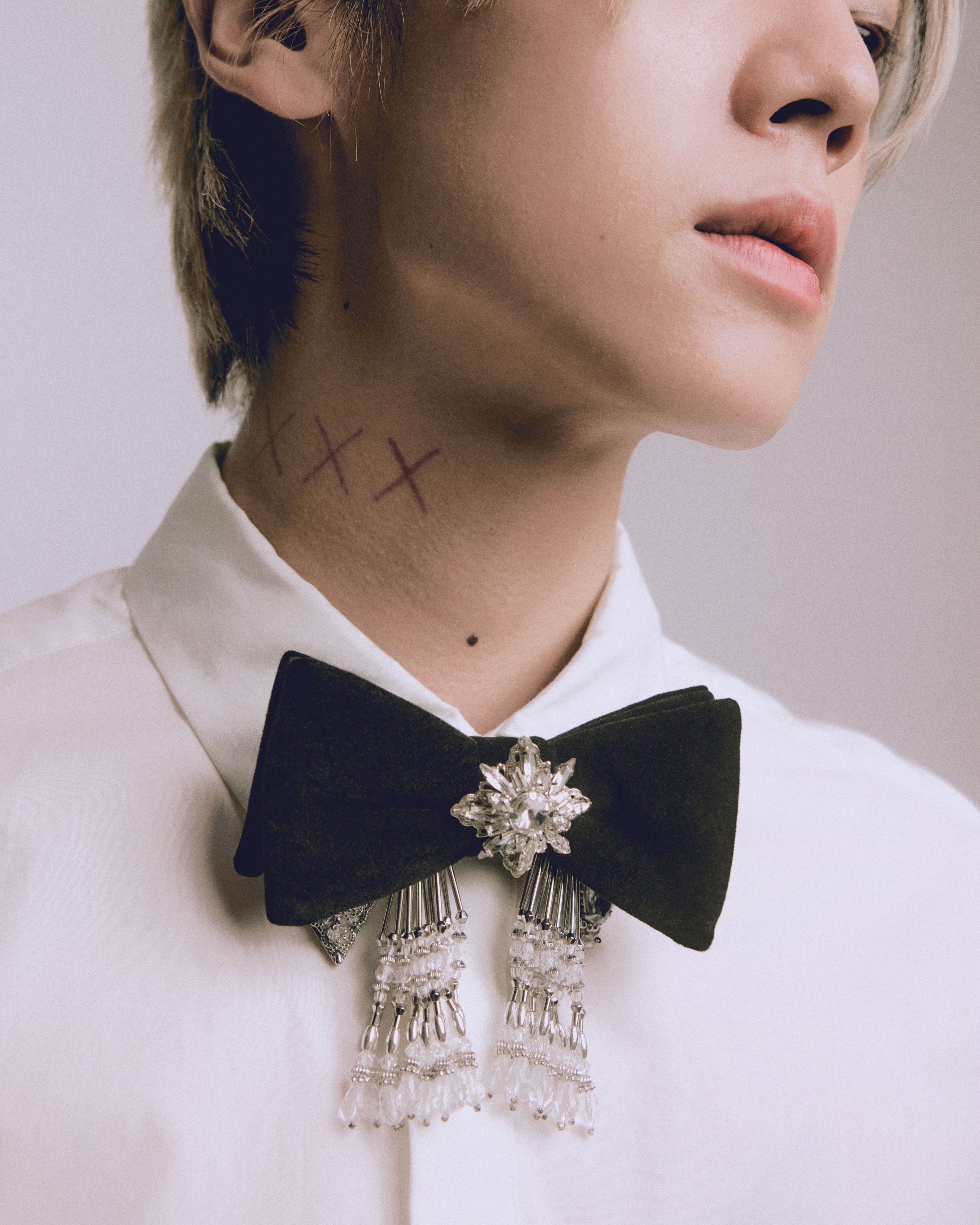 TanakaDaisuke ビジュー付きリボン crystal silver tip velvet long ribbon – tanakadaisuke