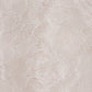 Napoleon lace shirt Beige【Delivery in February 2027】
