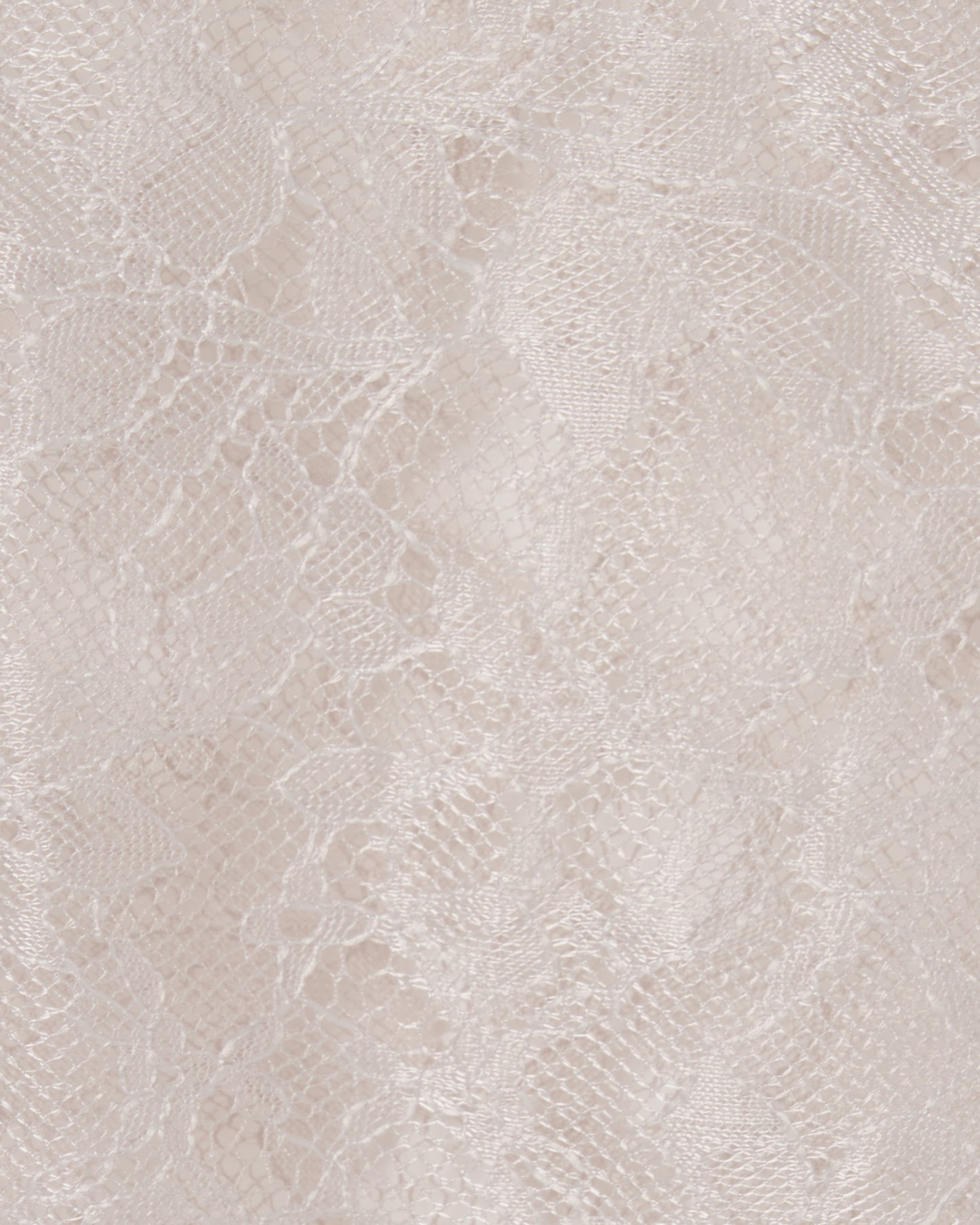 Napoleon lace shirt Beige【Delivery in February 2027】