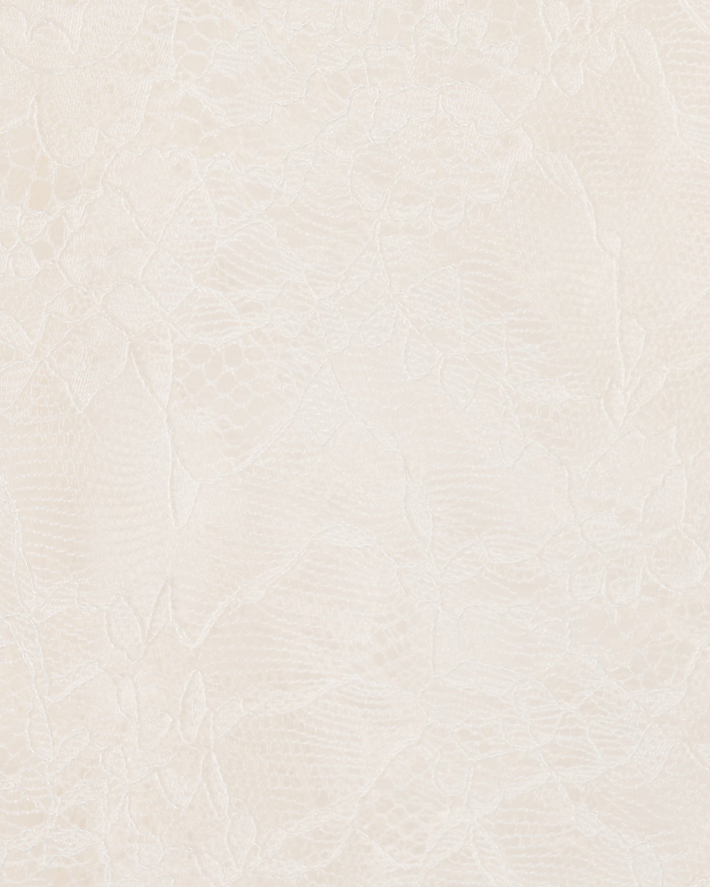 Napoleon lace shirt Off white【Delivery in February 2027】