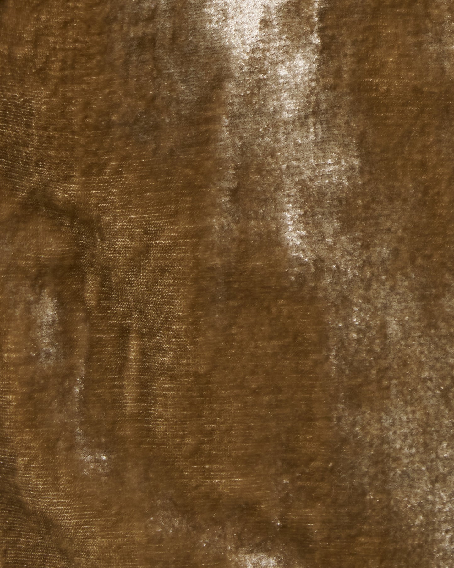 Stripe lining panne velvet jacket mustard【Delivery in January 2027】