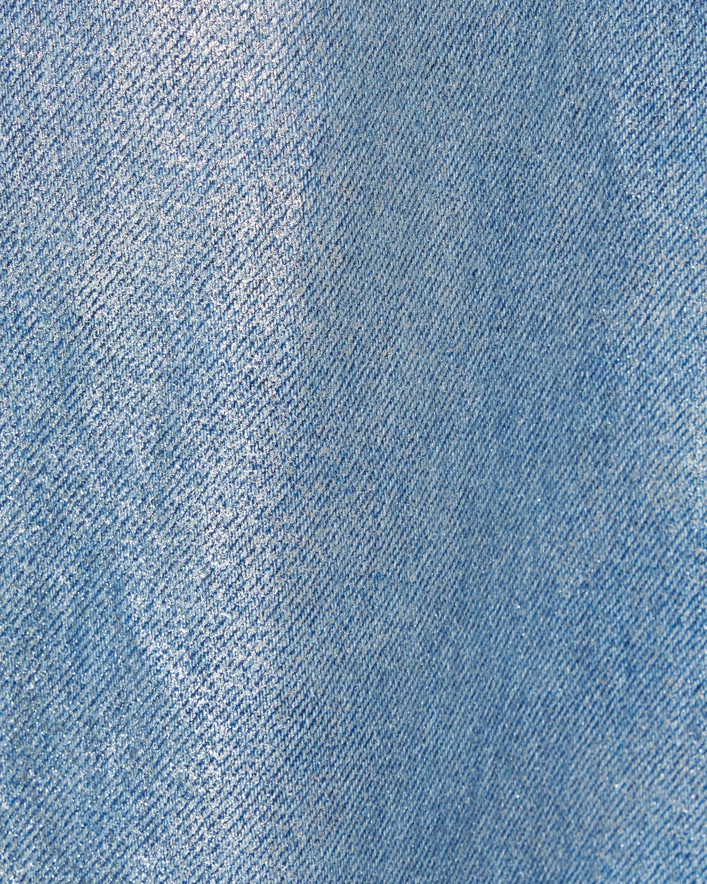 Silver foil print ornament denim pants Blue【Delivery in February 2027】