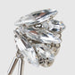wing bijou mini earring【Delivery in February 2027】