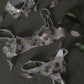 mosaic shell bikini set up【Delivery in March 2026】