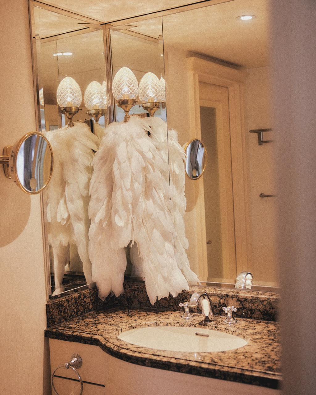 Feather jacket【Delivery in March 2026】